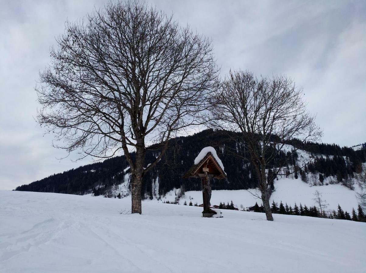 Appartements Haus Bergland Sankt Martin am Tennengebirge Exterior foto